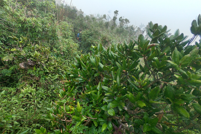 Kandy: Waterfalls and Local Village Day Tour with Lunch