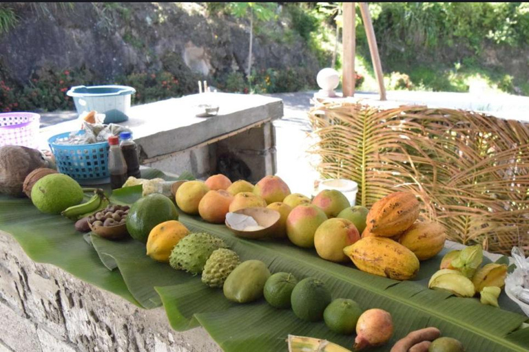 Gros Piton Adventure with Tour For The Day