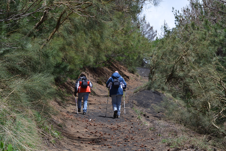 Trekking guidé sur l'EtnaTrekking sur l'Etna