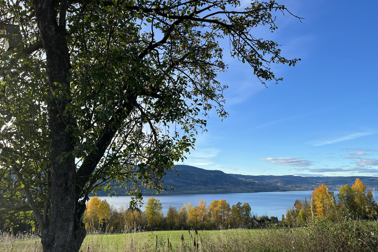 Historic Eidsvoll E-Bike Tour