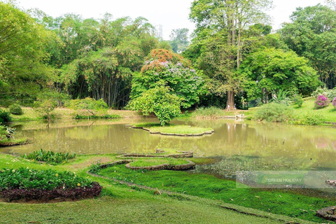 Kandy: Temple of Tooth, Train Ride, & Cave Waterfall Tour