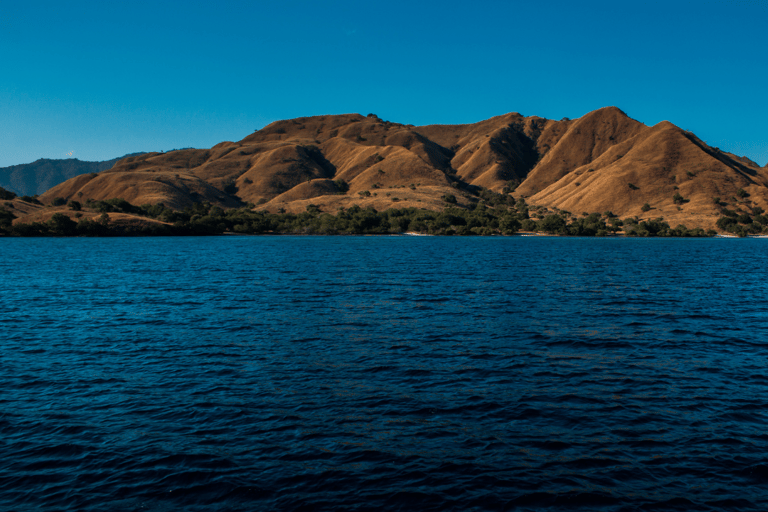 Visite d&#039;une jounée de l&#039;île de Komodo à l&#039;île de Labuan Bajo