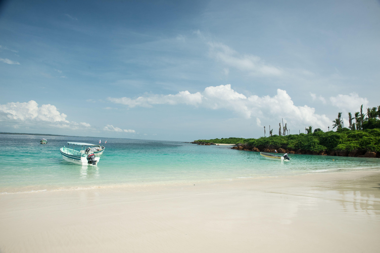 Pedasi: Whale Watching Tour + Isla Iguana