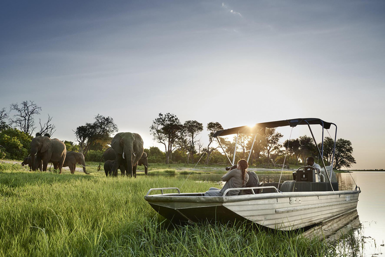 Des chutes Victoria au parc national de Chobe : 1 jour d'aventure safari