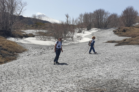 Catania: Etna 3000m and Alcantara Gorges Trek with Pickup