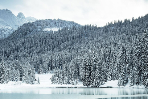 Courchevel: Scenic Walk to Lac de la Rosière