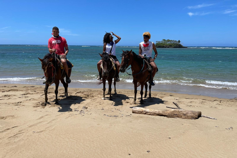 Puerto Plata: Reiten Tour