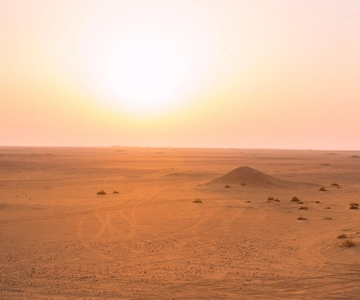 Kuwait: Private Car Half Day City Desert Tour Abholung und Rücktransfer