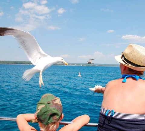 Cruises & boat tours