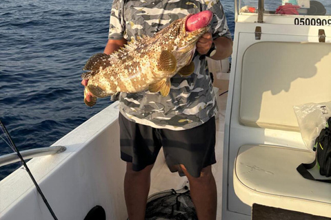 Yeda: Excursión de pesca deportivaJeddah: Viaje de pesca deportiva