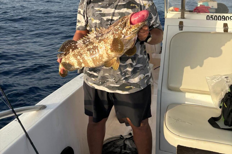 Yeda: Excursión de pesca deportivaJeddah: Viaje de pesca deportiva