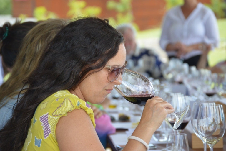 Montevideo: Ruta del vino - Almuerzo y degustación con Wine ExplorersEl mejor Tour de Bodegas con Comida y Degustación