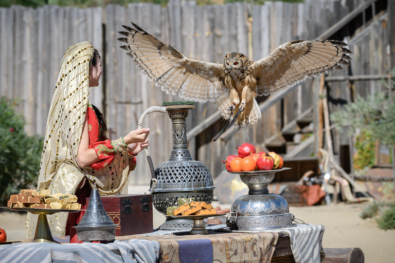 From Madrid: Puy du Fou Spain Entry Ticket & Transfer