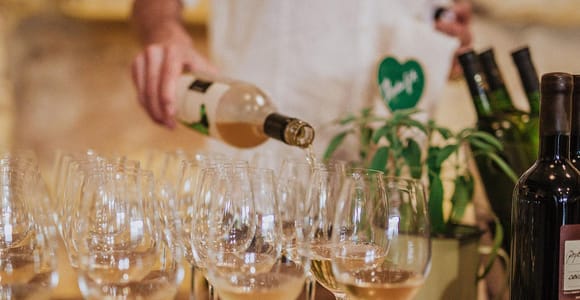 Split: Croatian Wine Tasting with Sommelier