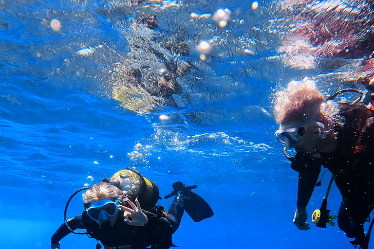 Tenerife: Scuba Diving Experience for Every Level