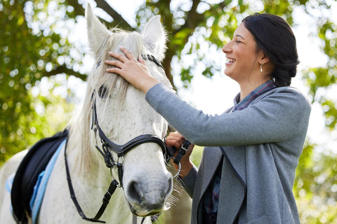 Perth, Jarrahdale: Private Horseback Ride and Picnic Perth, Jarrahdale: 1h Private Horseback Ride