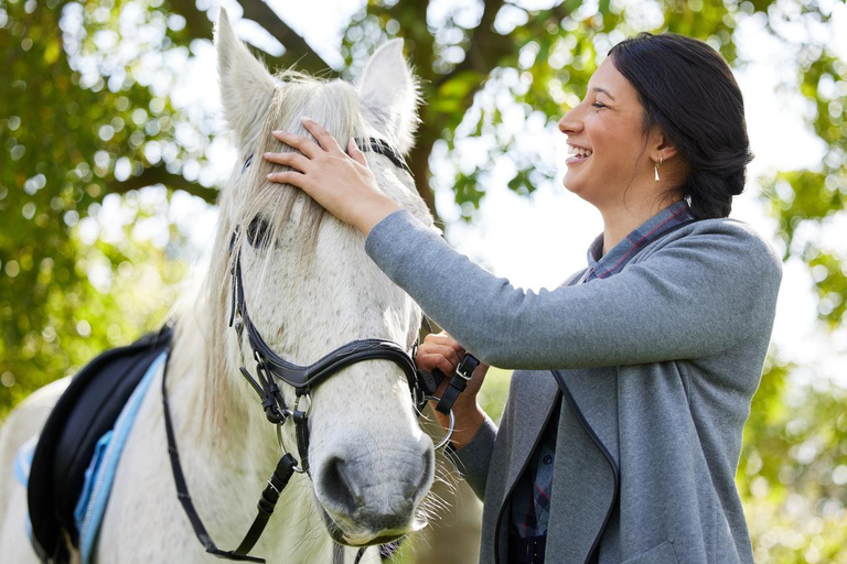 Perth, Jarrahdale: Private Horseback Ride and Picnic Perth, Jarrahdale: 1h Private Horseback Ride