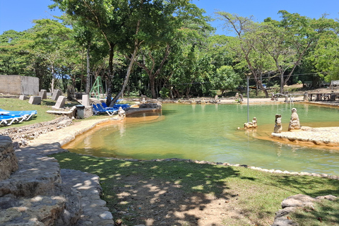 From Punta Cana: Los Haitises Tour: Mangroves, Caves + Round Mountain