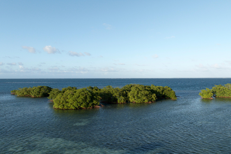 EXCURSIE*** (GRAND-CUL-DE-SAC-MARIN voeten in het water)