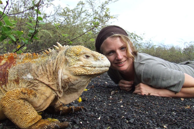 Galapagos Explorer 4-Day Tour: Santa Cruz & Bartholomew