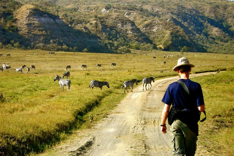 Um safári compartilhado de três dias para o Masai Mara saindo de Nairóbi.Um safári compartilhado de três dias para Masai Mara saindo de Nairobi.