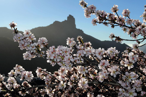 Gran Canaria Gran Tour