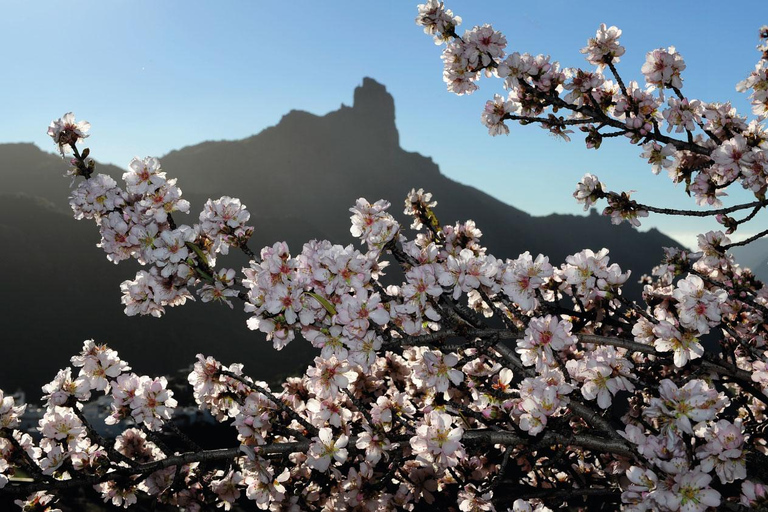 Gran Canaria Gran Tour