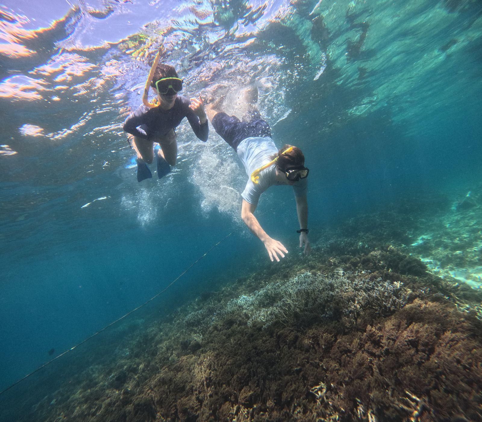 Trincomalee: Schnorcheltour mit dem Boot auf Coral Island