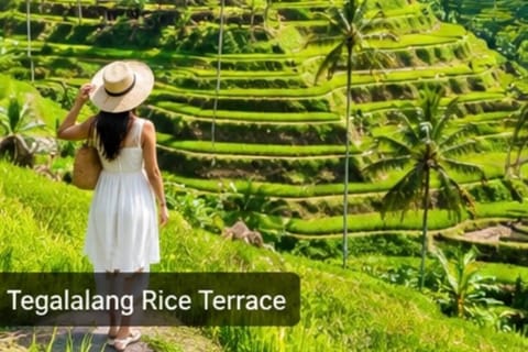 Ubud Private Cultural & Nature Tour English-Speaking Driver