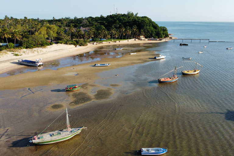 Expérience de pêche en haute mer à Maputo