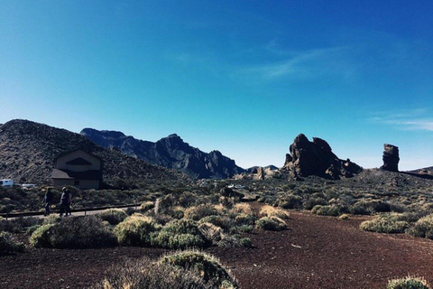 Quad Tour Volcano Teide på dagtid i Teide nationalpark