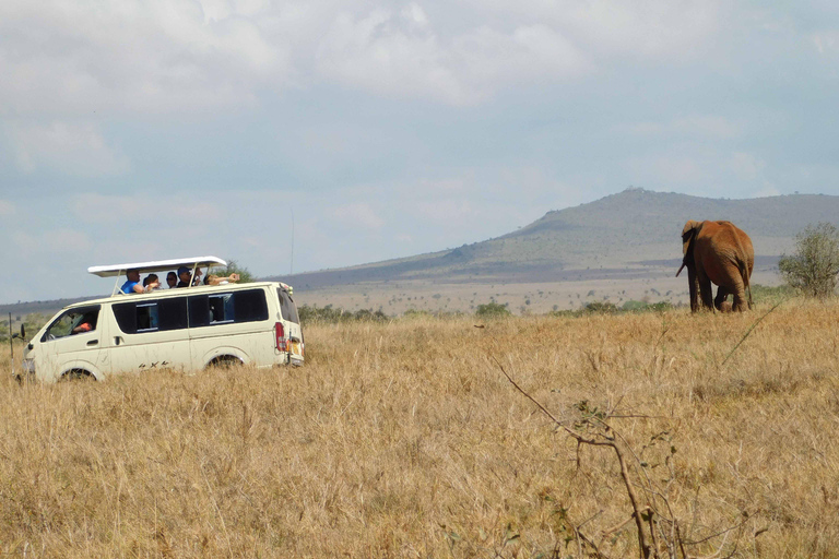 3-day Tsavo Adventure Ending In Mombasa.