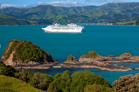 Christchurch: Akaroa Day Tour with Nature Cruise