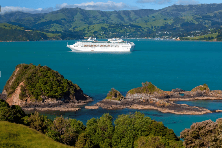 Christchurch: Akaroa Day Tour with Nature Cruise
