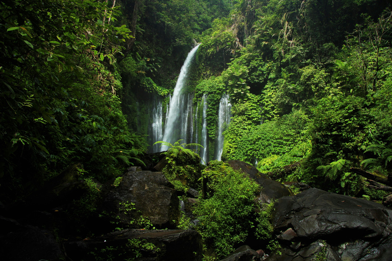 Lombok: Exclusieve Sendang Gile, Tiu Kelep &amp; Selong Hill TourPrivétour met lunch