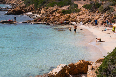 من ستينتينو جولة شاحنة أسينارا الصغيرة