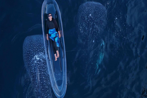 Lombok: 4-Day Komodo with Whale Sharks Private Cabin