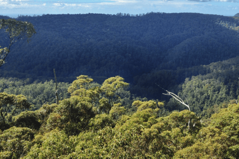 Spring Brook National Park Self Guided Driving Tour