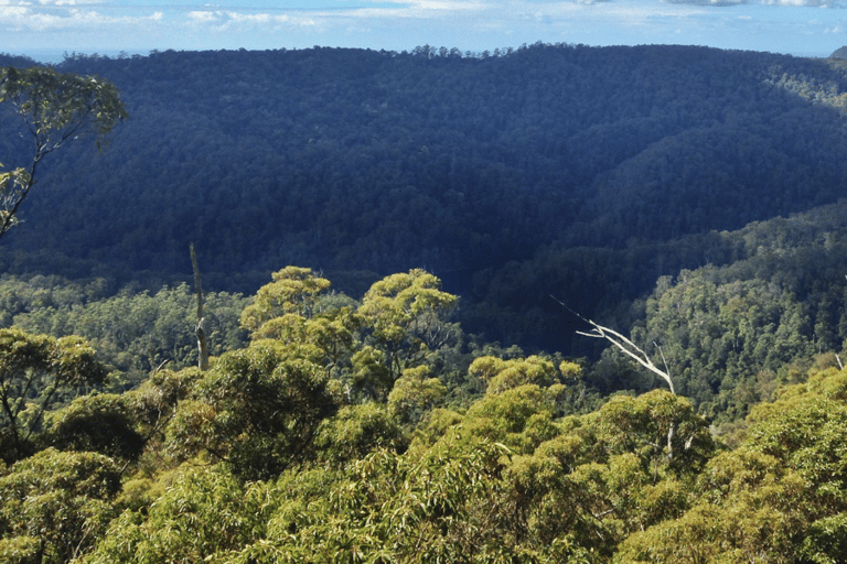 Spring Brook National Park Driving Tour mit einer APPSpring Brook National Park Selbstgeführte Fahrertour