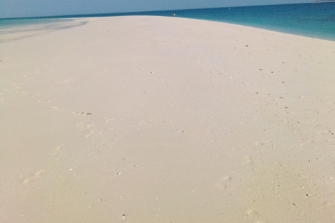 Zanzibar: tour guidato dell'isola prigione con guida localeZanzibar: tour guidato dell'isola prigione con una guida locale