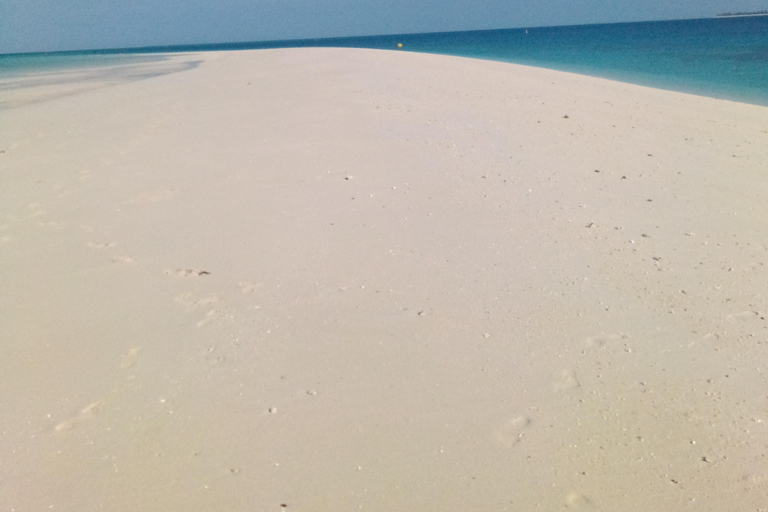 Zanzibar: tour guidato dell'isola prigione con guida localeZanzibar: tour guidato dell'isola prigione con una guida locale