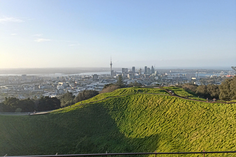 “City & Coast & Country” – A Relaxed Day Tour from Auckland “City & Coast & Country” – A Relaxed Day Tour from Auckland