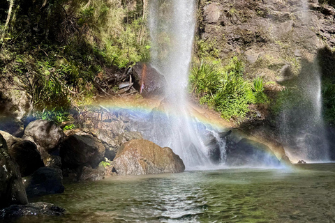 布里斯班：斯普林布鲁克七瀑布与天然桥之旅布里斯班：斯普林布鲁克七瀑布与天然石桥游览
