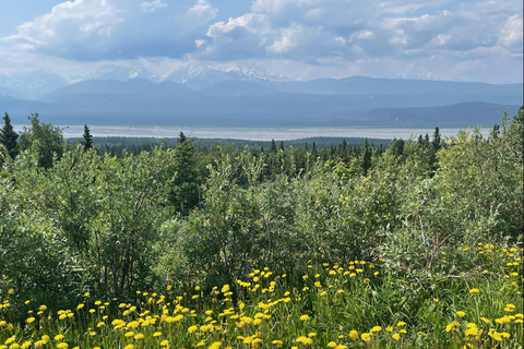 Glacial Lake, Waterfall and rainforest. Beauty of Turnagain!