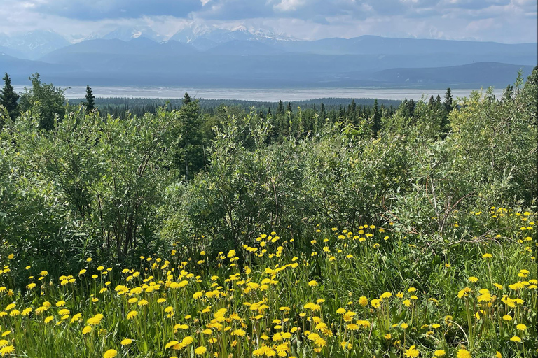 Glacial Lake, Waterfall and rainforest. Beauty of Turnagain!
