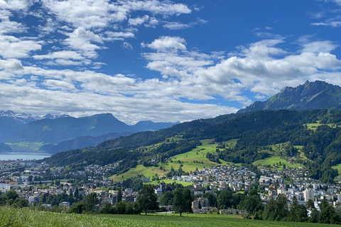 Luzern: Farm Tour und Käseverkostung