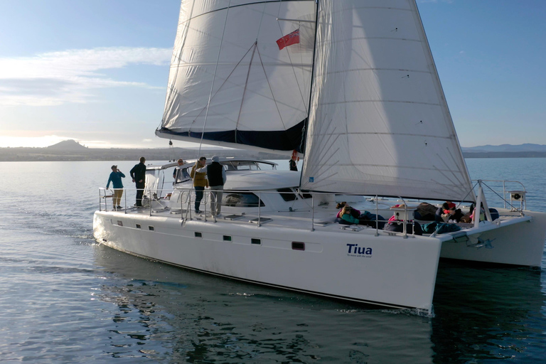 Taupo: tour in barca a vela sul lago Taupo con incisioni rupestri MaoriVisita alle 15:30