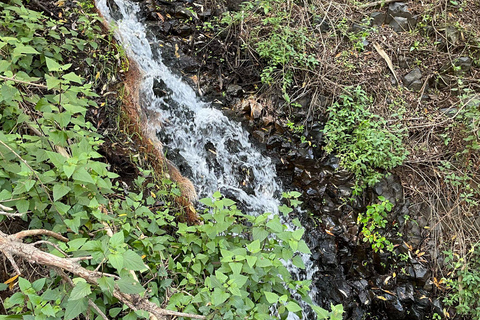 Gran Canaria: excursie naar de Barranco de los CernícalosGran Canaria: trip naar de Barranco de los Cernícalos
