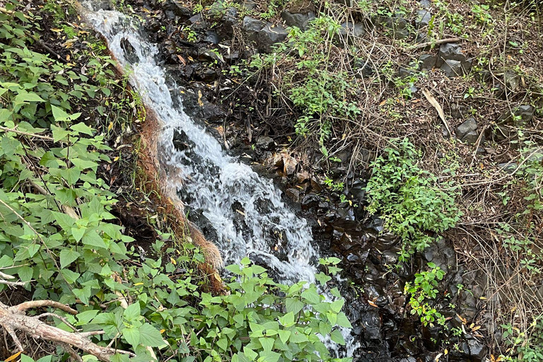 Gran Canaria: excursie naar de Barranco de los CernícalosGran Canaria: trip naar de Barranco de los Cernícalos