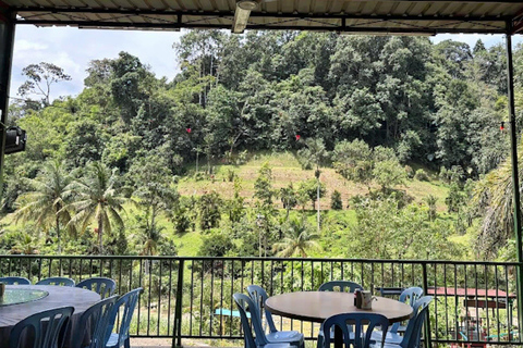 Kolam Air Panas Bentong & Japanese Garden Day Escape